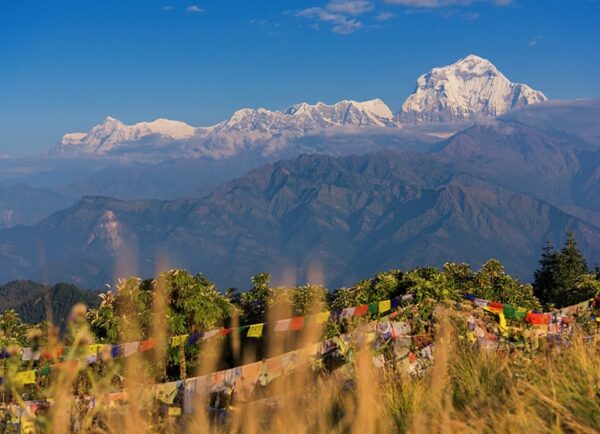 Ghorepani Poonhill Trek
