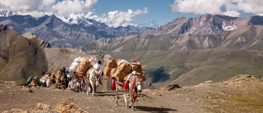 Langtang Valley Trek