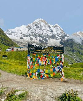 Annapurna Region